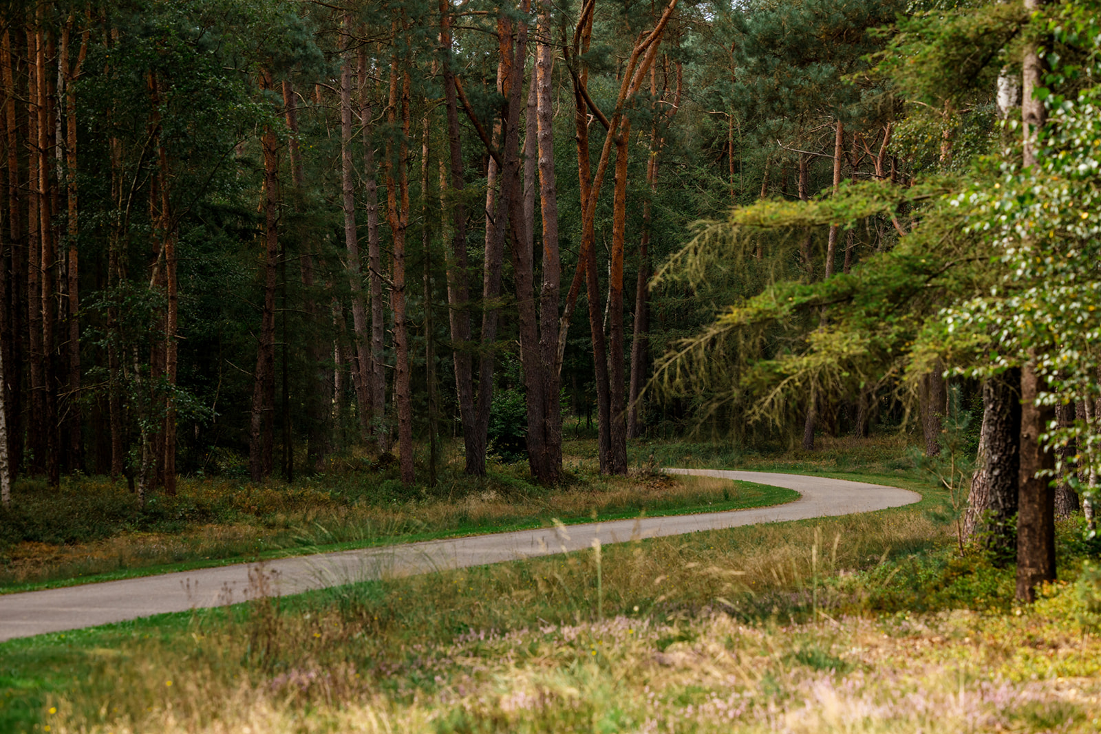 Saskia van Berkel De Laatste Letters